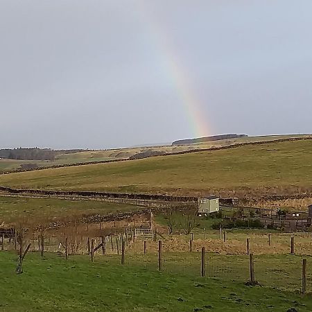 The Buteland Stop Rosie Off Grid Shepherds Hut เบลลิงแฮม ภายนอก รูปภาพ