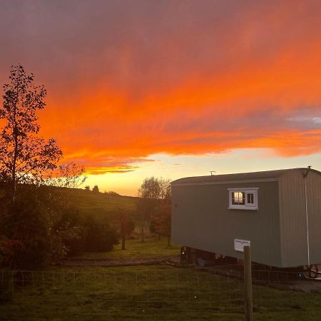 The Buteland Stop Rosie Off Grid Shepherds Hut เบลลิงแฮม ภายนอก รูปภาพ