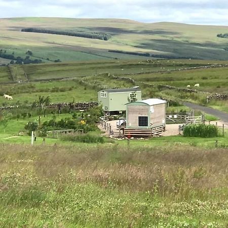 The Buteland Stop Rosie Off Grid Shepherds Hut เบลลิงแฮม ภายนอก รูปภาพ