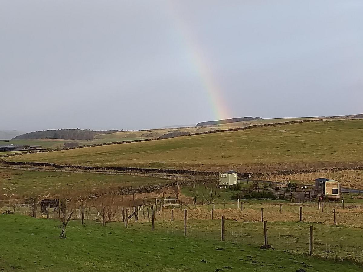 The Buteland Stop Rosie Off Grid Shepherds Hut เบลลิงแฮม ภายนอก รูปภาพ