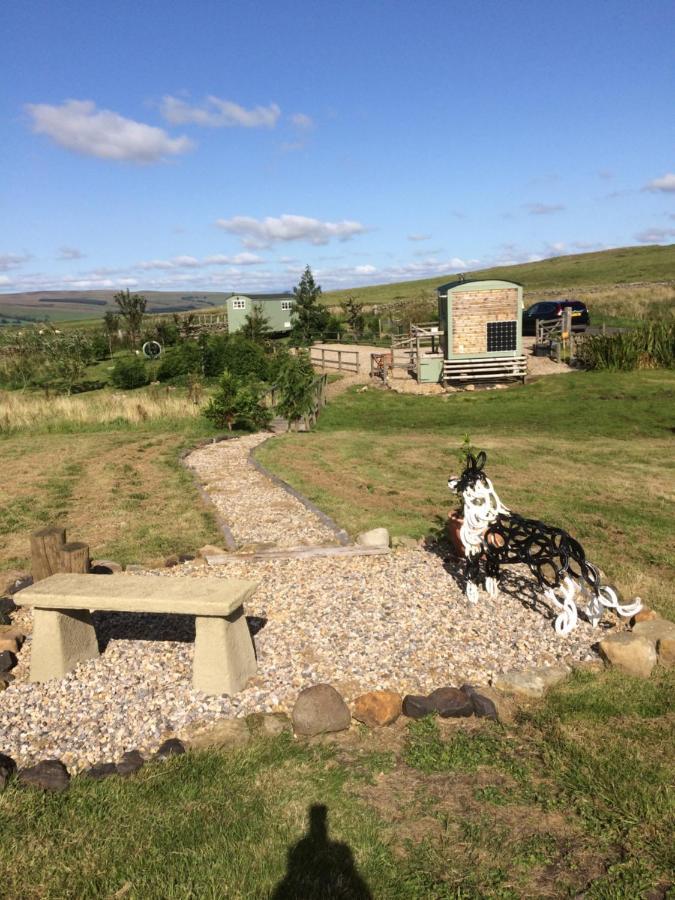 The Buteland Stop Rosie Off Grid Shepherds Hut เบลลิงแฮม ภายนอก รูปภาพ