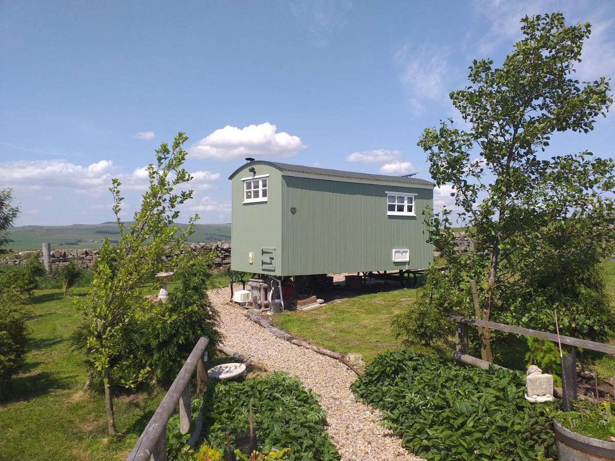 The Buteland Stop Rosie Off Grid Shepherds Hut เบลลิงแฮม ภายนอก รูปภาพ