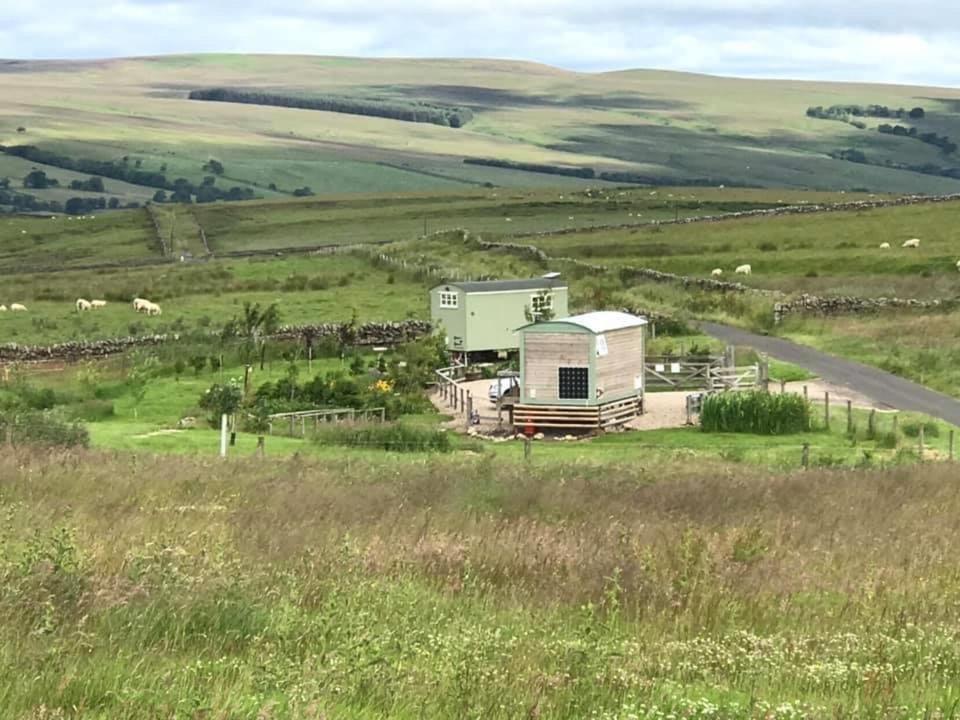 The Buteland Stop Rosie Off Grid Shepherds Hut เบลลิงแฮม ภายนอก รูปภาพ