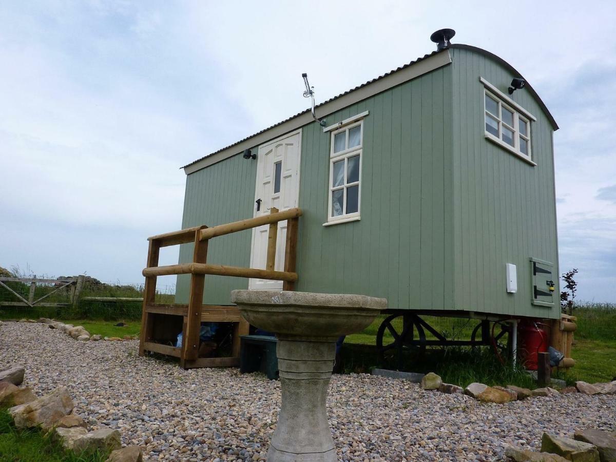 The Buteland Stop Rosie Off Grid Shepherds Hut เบลลิงแฮม ภายนอก รูปภาพ