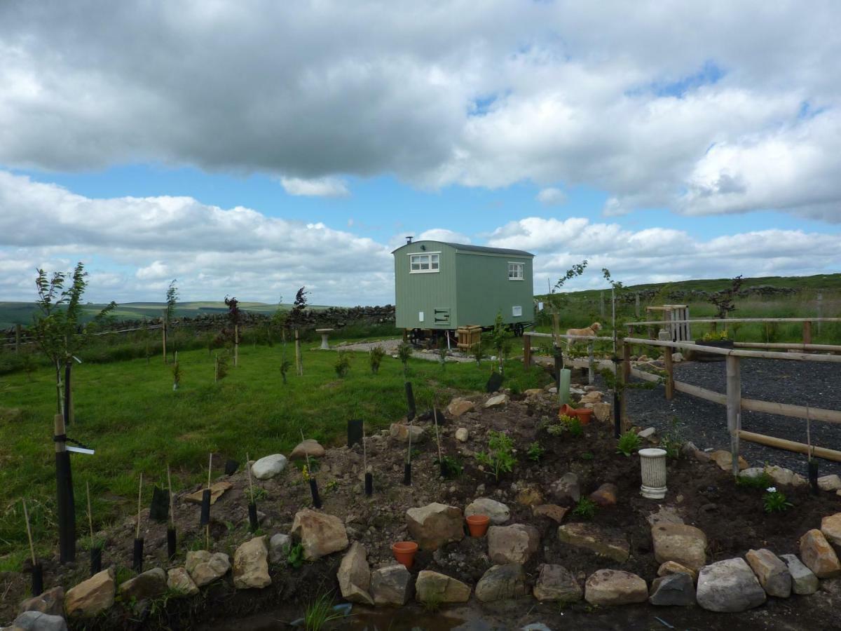 The Buteland Stop Rosie Off Grid Shepherds Hut เบลลิงแฮม ภายนอก รูปภาพ