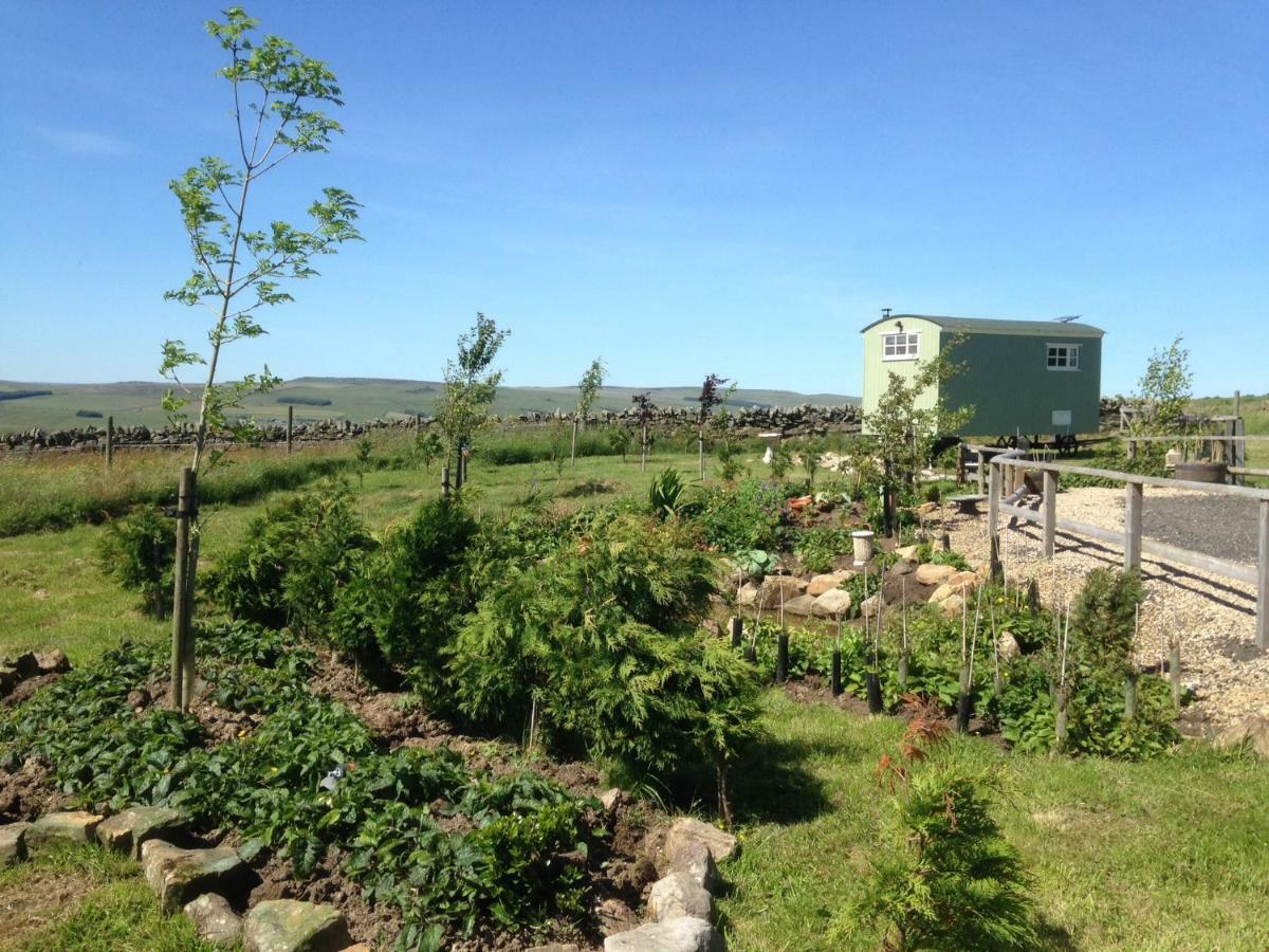 The Buteland Stop Rosie Off Grid Shepherds Hut เบลลิงแฮม ภายนอก รูปภาพ