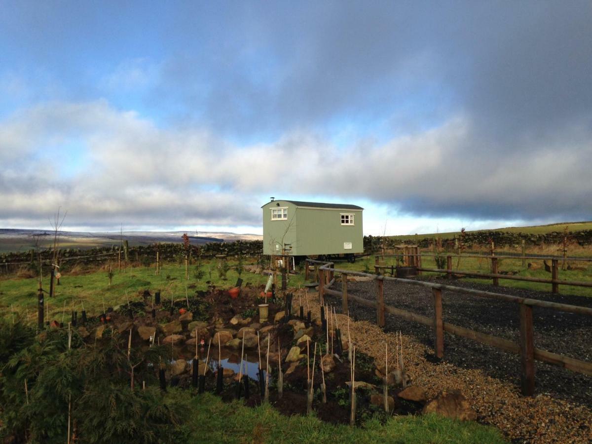 The Buteland Stop Rosie Off Grid Shepherds Hut เบลลิงแฮม ภายนอก รูปภาพ