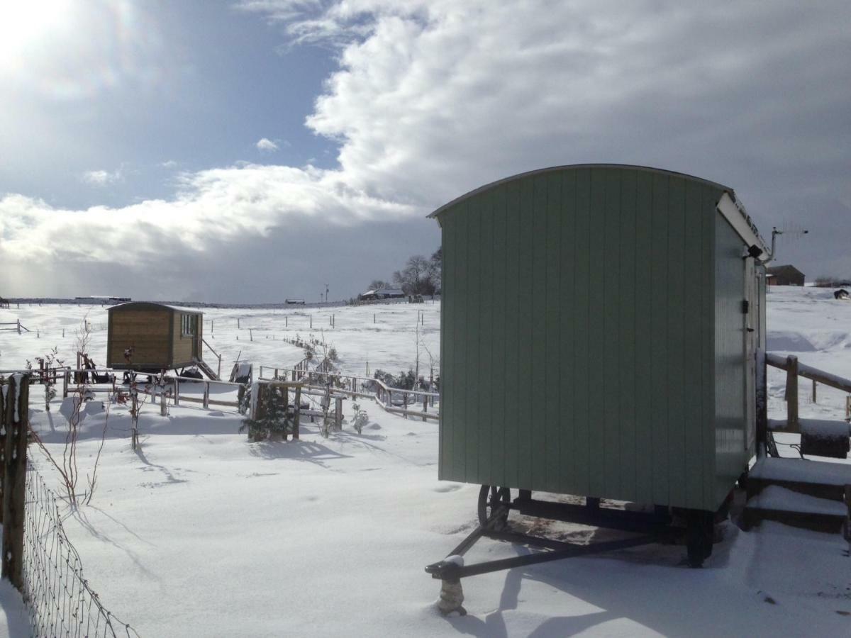 The Buteland Stop Rosie Off Grid Shepherds Hut เบลลิงแฮม ภายนอก รูปภาพ