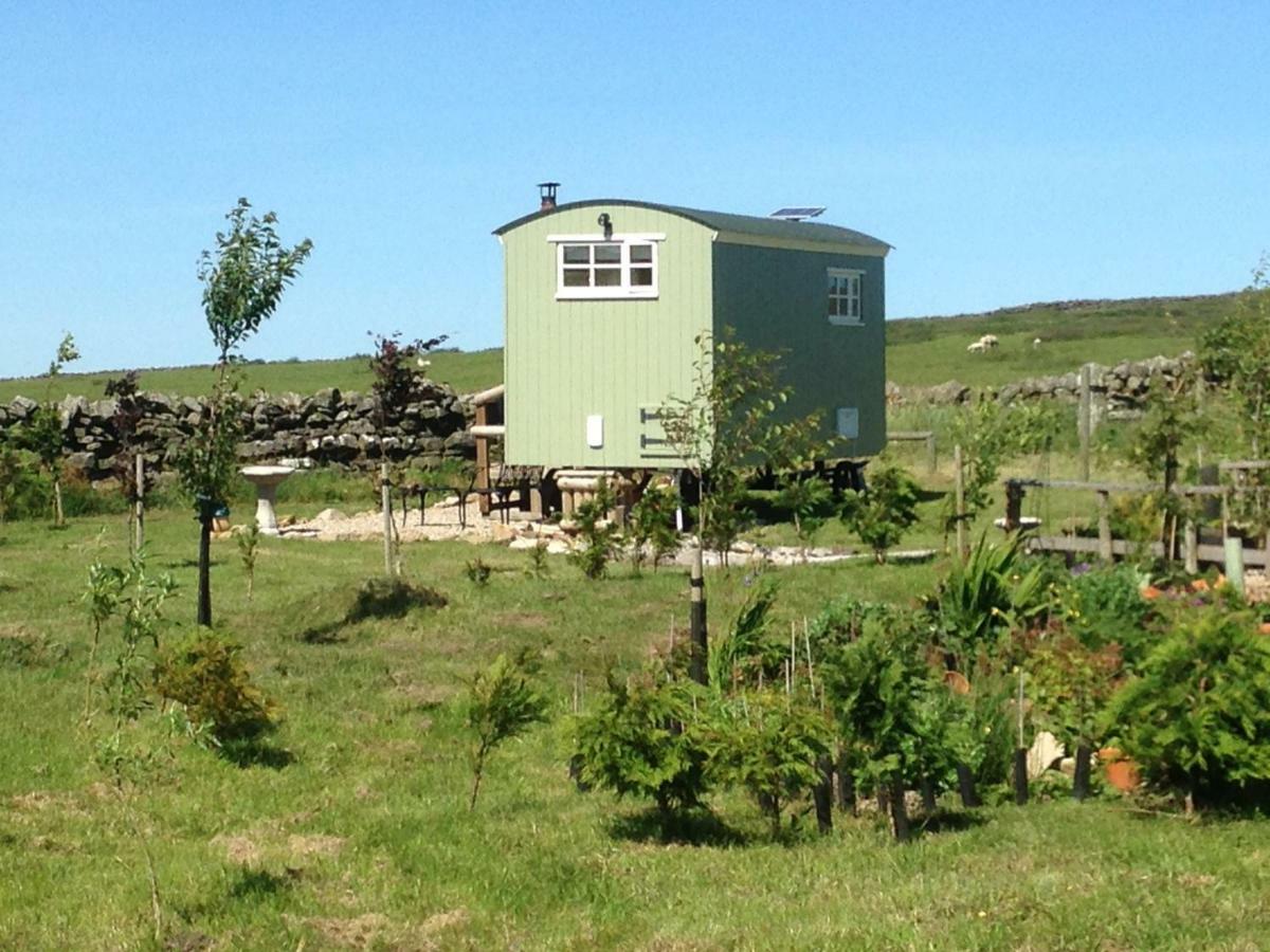 The Buteland Stop Rosie Off Grid Shepherds Hut เบลลิงแฮม ภายนอก รูปภาพ