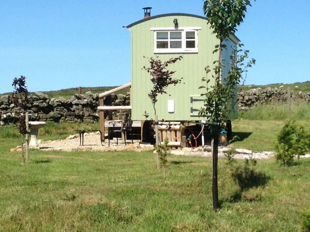 The Buteland Stop Rosie Off Grid Shepherds Hut เบลลิงแฮม ภายนอก รูปภาพ